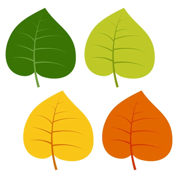 Conjunto de hojas verdes, amarillas y rojas aisladas sobre fondo blanco — Vector de stock