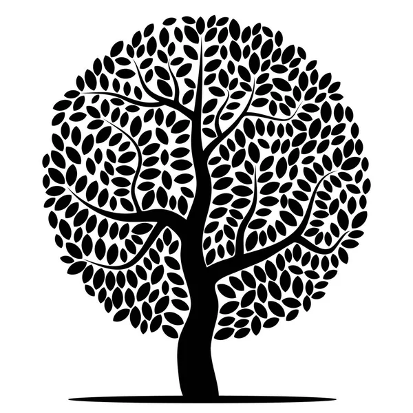 Vektorsilhouette eines Baumes — Stockvektor