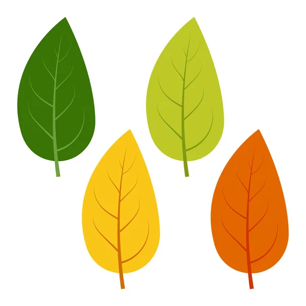 Conjunto de folhas verdes, amarelas e vermelhas isoladas sobre fundo branco — Vetor de Stock