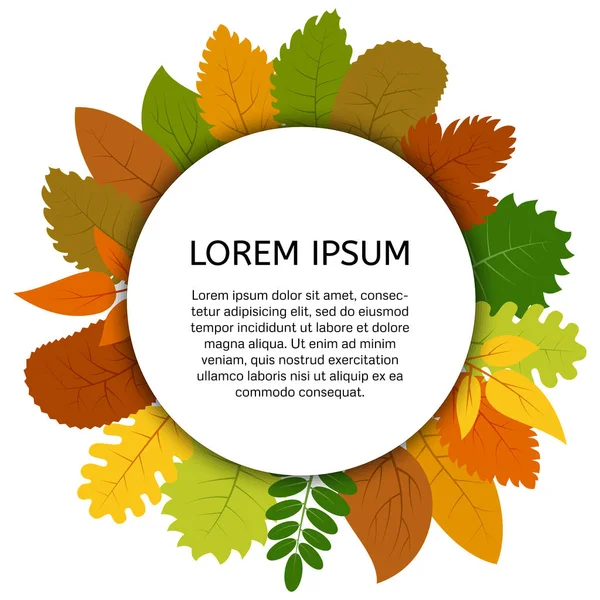 Beyaz yuvarlak etiket altında renkli sonbahar yaprakları