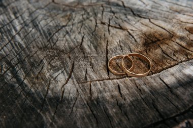 Ahşap arka plan, bir güdük üzerinde güzel alyans