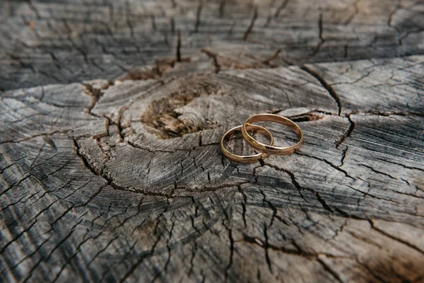 Красивые обручальные кольца на деревянном фоне, пень — стоковое фото
