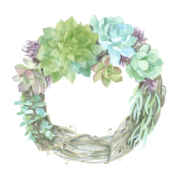 321_wreath sukulenty — Zdjęcie stockowe