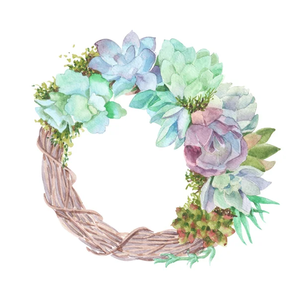 321_wreath сукулентів — стокове фото