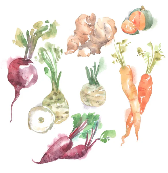 Ilustrasi cat air sayuran — Stok Foto