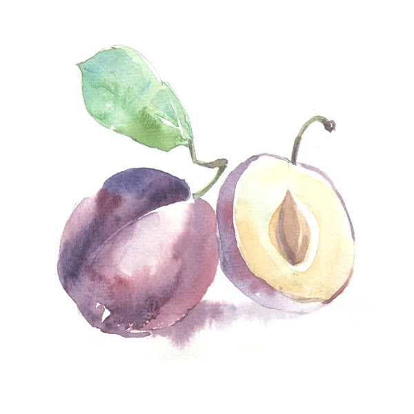 Fruits dans le style aquarelle. Isolé . — Photo