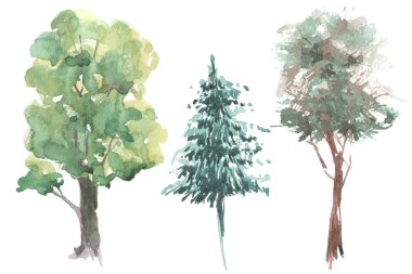 yabani ağaçlar suluboya resim ayarla