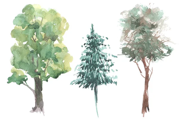 yabani ağaçlar suluboya resim ayarla