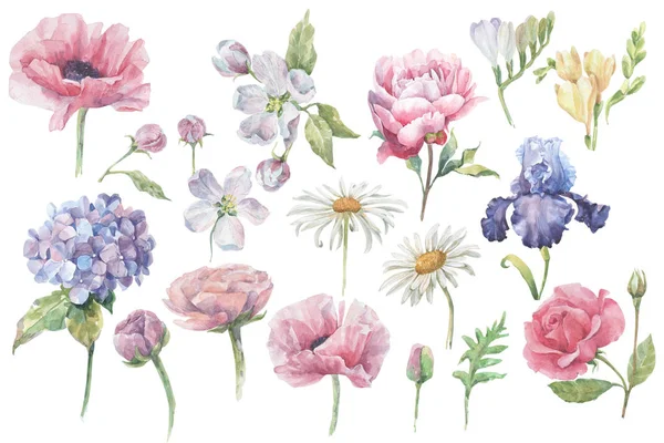 Suluboya çiçek ve yaprak tasarımı için 