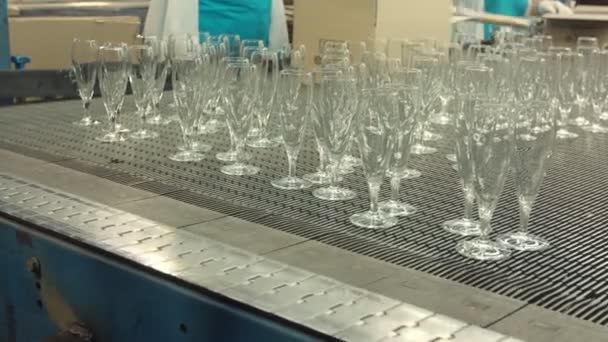 Línea transportadora automática o cinta con filas de vasos de cristal transparentes en fábrica industrial . — Vídeos de Stock