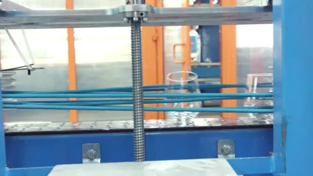 Automatiska transportband med rader av genomskinliga kristallglas i industrifabrik. — Stockvideo
