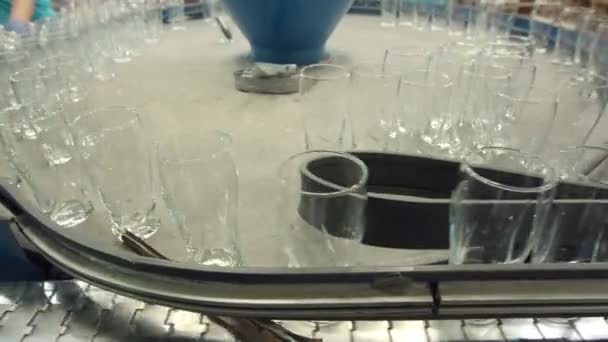 Linea o nastro trasportatore automatico con file di bicchieri trasparenti in cristallo in fabbrica industriale . — Video Stock