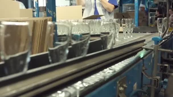 Línea transportadora automática o cinta con filas de vasos de cristal transparentes en fábrica industrial . — Vídeos de Stock