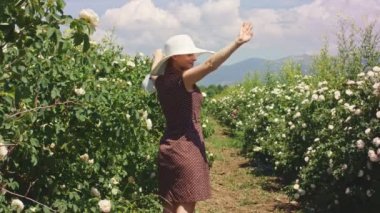 Şapkalı kadın pamuk çantasında taze pembe gül yaprakları topluyor ve onları yayıyor..