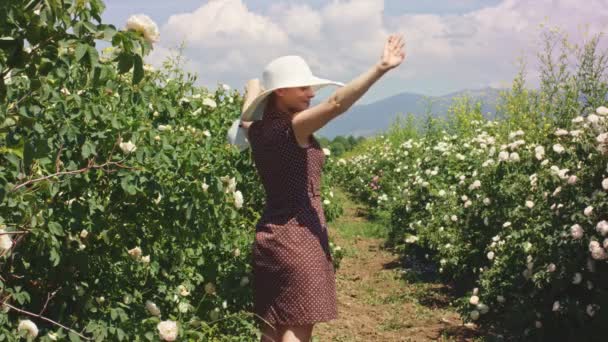 Woman in hat  picking  fresh pink rose petals in her cotton eco bag and  spreading them. — ストック動画