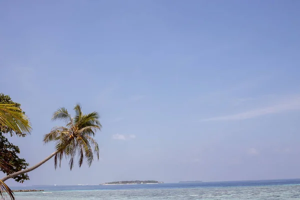 Trópusi Paradicsom Csodálatos Strand Fehér Homok Türkiz Óceán Kókuszpálmák Kék — Stock Fotó