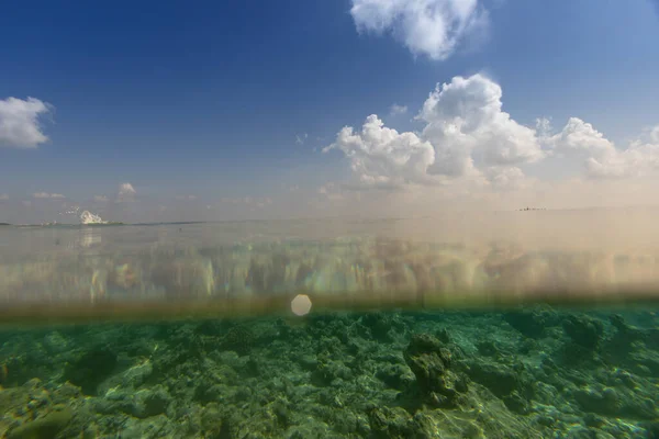 Underwater tropical coral reef splitted by cloudy sky waterline. Beautiful turquoise deep ocean view over and under water surface, Indian ocean, Maldives.