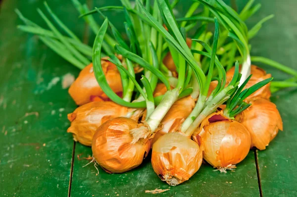 Ramo de cebollas en la mesa verde — Foto de Stock