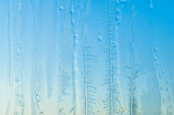 Ice flowers and frost pattern on frosty window glass — Stock Photo, Image