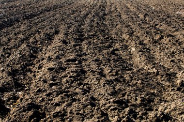 Sürülmüş tarım alanı ekilebilir toprak