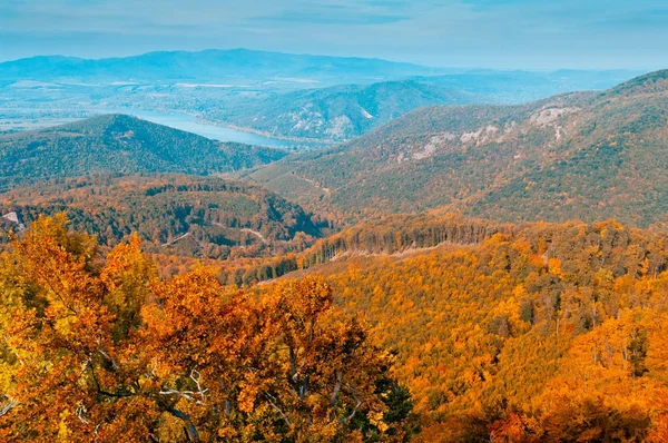 Dağ, orman manzara sonbahar orman görünümünde