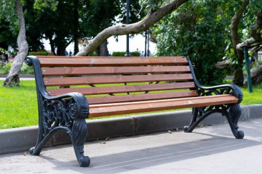 Şehir parkında kaldırımda dövülmüş demir kanatlı ahşap bir bank.