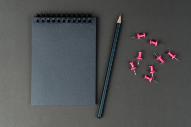 Siyah arka planda siyah defter, kalem ve pembe notlar. Model yap, uzayı kopyala. Kadın ya da lezbiyen fikirlerini düzeltme kavramı