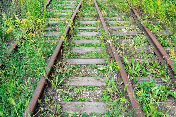 Övergiven Järnväg Rälsen Överväxt Med Gräs — Stockfoto