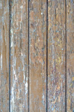 Eski boyalı ahşap kalaslar zamanla soyuluyor. Eski tahtaların ahşap yüzeyinden dökülen boya. Eski boyanmış tahtaların dokusu