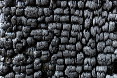 Yanmış tahta desen fotoğrafı. Yakın plan.