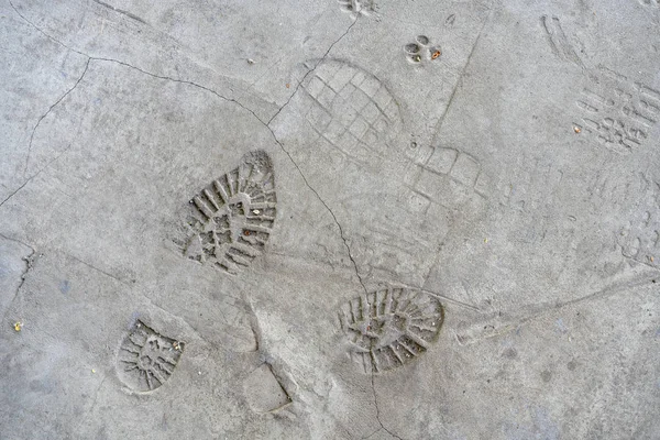 traces of shoes on the concrete floor. Imprints of shoes on the concrete floor. Shoe markings left behind in wet cement by contractor\'s reckless workmen. Shoe prints background