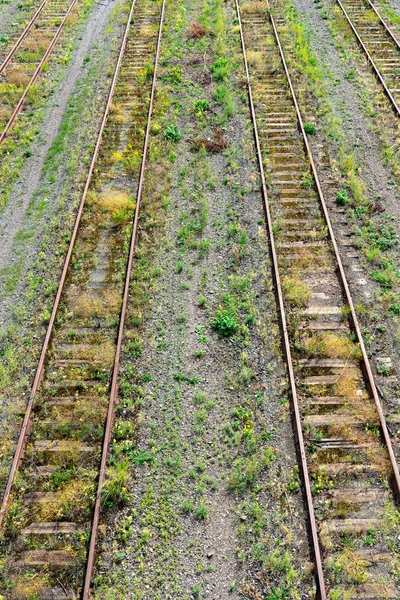 Övergiven Järnväg Rälsen Överväxt Med Gräs — Stockfoto