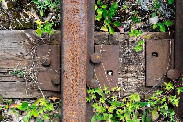 Rails Chemin Fer Rouillés Chemin Fer Abandonné — Photo