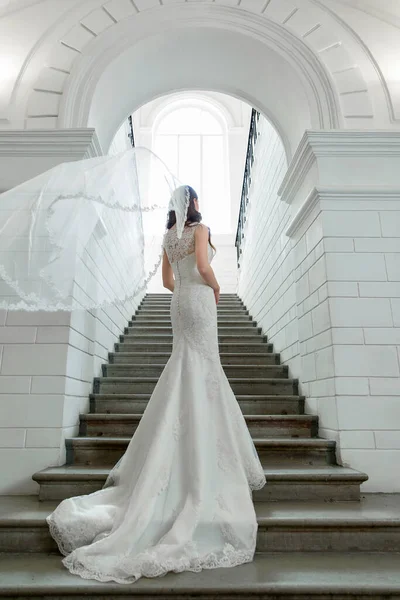 别致的白色婚纱衬托着长长的美丽火车 新娘头上的面纱 新娘穿着婚纱打扮得很端庄 图库图片