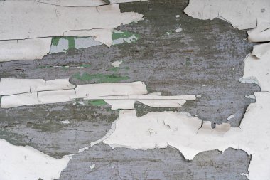 Ahşap tabandan beyaz boya dökülüyor. Beyaz boyalı eski ahşap bir detay. Aşınmış boyanmış kaplama. Eski ahşap tahta ve soluk boya..