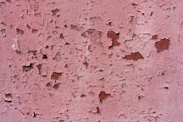 The background is a peeling metallic surface in red. texture Old red, pink paint peeling off a metallic surface.