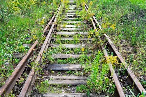 Övergiven Järnväg Rälsen Överväxt Med Gräs — Stockfoto