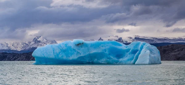 Buzullar Lago Argentino gölünün Los Glaciares Milli Parkı içinde 