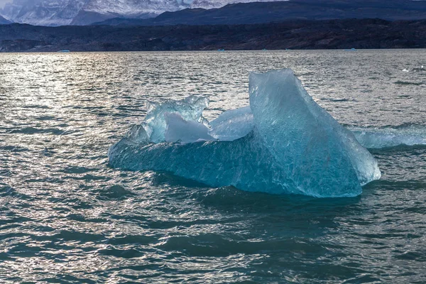 Buzullar Lago Argentino gölünün Los Glaciares Milli Parkı içinde 