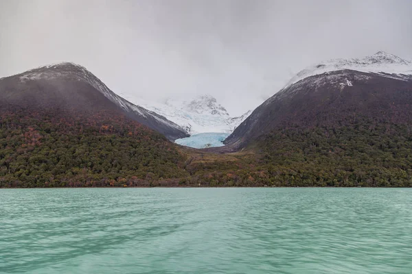 Buzullar Lago Argentino gölünün Los Glaciares Milli Parkı içinde 