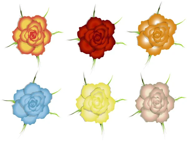 Conjunto de flores de rosas de colores en blanco, ilustración vectorial — Archivo Imágenes Vectoriales