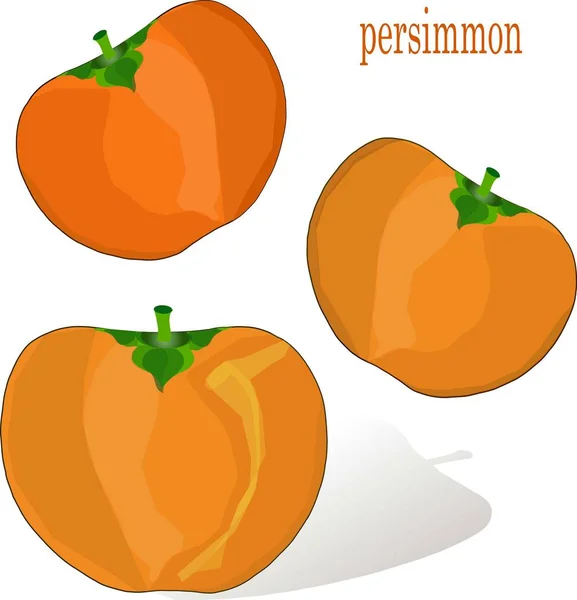 Pintura dibujada a mano caqui naranja en blanco, ilustración de vector de stock — Vector de stock