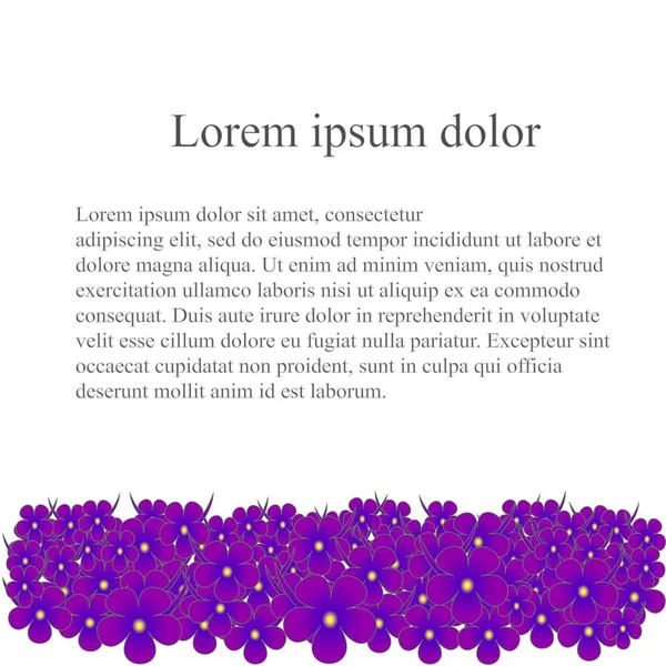 Fondo floral con flores violetas púrpura abajo en blanco, lorem ipsum, ilustración de vector de stock — Vector de stock