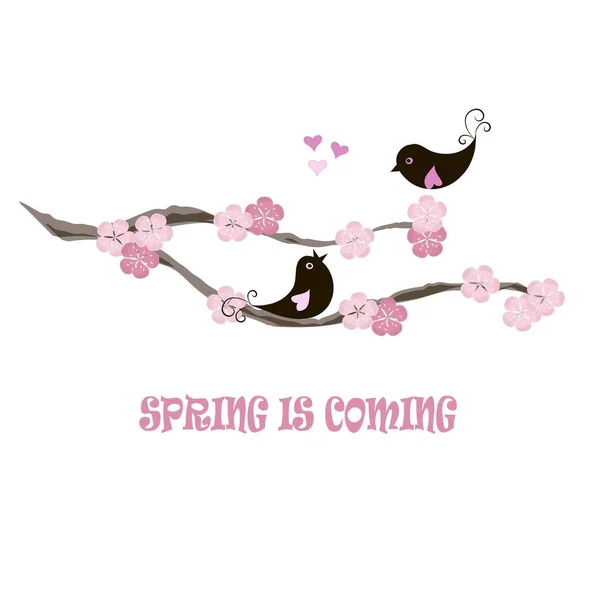Bandeira de tipografia A primavera está chegando, pássaros negros no ramo florescendo, flores cor de rosa, corações em branco, ilustração de vetor de estoque —  Vetores de Stock