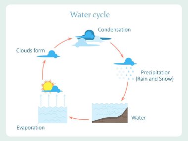 Water cycle scheme for kids education stock vector illustration clipart