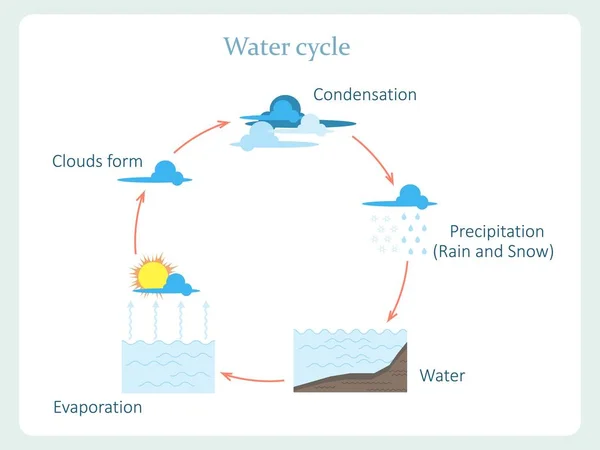 Esquema de ciclo del agua para niños educación stock vector ilustración — Vector de stock