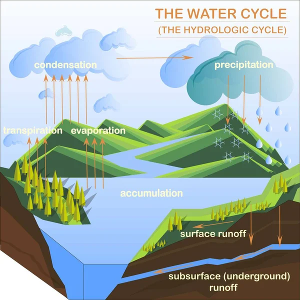 Schema des Wasserkreislaufs, Flats Design Stock Vektor Illustration — Stockvektor