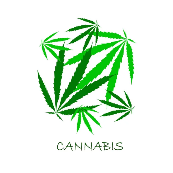 Feuilles de cannabis vert sur illustration vectorielle de bouillon blanc — Image vectorielle