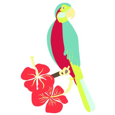 El çekilmiş renkli papağan, hibiscus çiçek sayfa ve baskı, hisse senedi vektör çizim boyama için