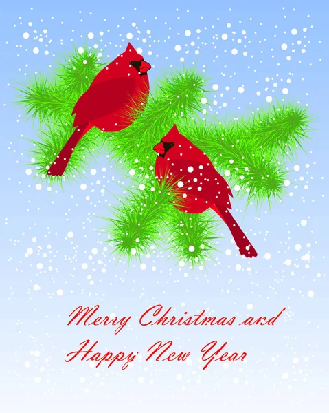 两个红雀坐在绿杉枝上, 白色的雪在蓝色, 新年快乐和圣诞快乐股票矢量插画 — 图库矢量图片